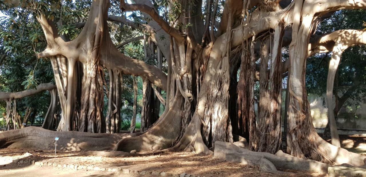 פלרמו Casa Albergheria מראה חיצוני תמונה